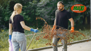 The Complete Guide to Driveway Cleaning in 2025