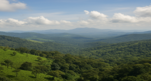 Sakleshpur Travel Guide