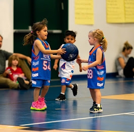 The Complete Guide to Youth Basketball with Royal Basketball School – Training, Tips & Benefits