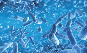 Pertussis Therapeutic Market Booms by Vaccine Innovations