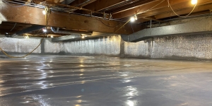 Protecting Your Home: The Importance of Repair and Encapsulation