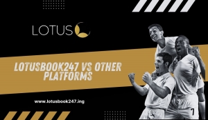 Platform Comparison: How Lotusbook247 Stacks Up Against the Competition