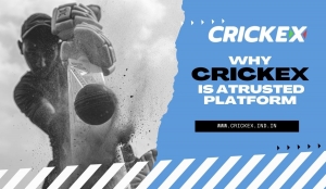 Platform Reliability: What Makes Crickex a Trusted Choice