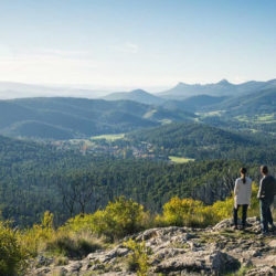 Effortless Hosting Starts Here: Property Management in Yarra Valley and Dandenong Ranges