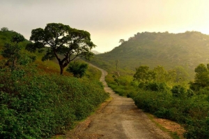 Trekking to Pipliya Ji: Cloud Walks, Misty Roads & Village Views
