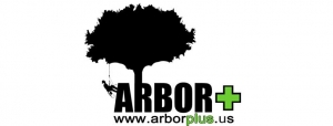 Arborist Services Near Me That Actually Show Up On Time and Know What They're Doing