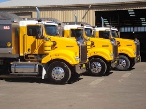 Top Reasons to Choose Earthmovers for Bulk Material Transport