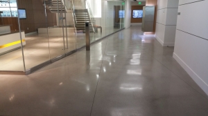 a polished concrete floor of a commercial area