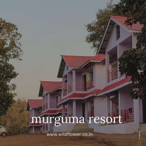 Experience Nature’s Tranquility at Murguma Wildflower Resort
