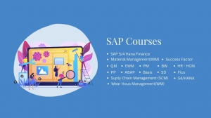 How to Choose the Best SAP Training Institute for Your SAP Course in Pune