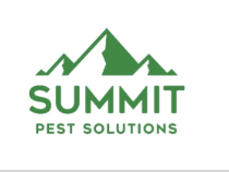 Expert Pest Control Solutions in Edmond, OK