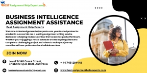 Comprehensive Business Intelligence Assignment Help Available