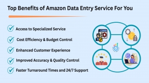 How to Choose the Best Amazon Data Entry Service for Your Businesses