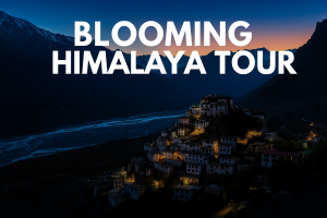 Spiti Valley from Delhi: Best Travel Packages 2025