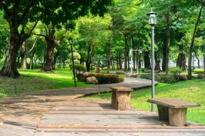 What Are the Important Benefits of Green Spaces?
