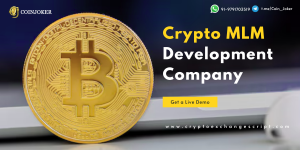Elevating Business Prosperity Through Next-Gen Crypto MLM Development 