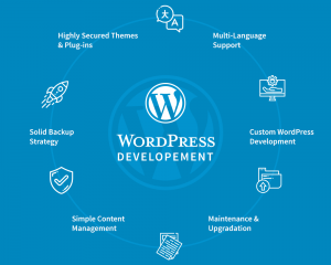 Turn Your Creativity Into a Career: WordPress Website Design in Islamabad