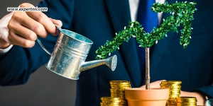NRI Investment Opportunities In India