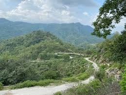 Ranakpur to Kumbhalgarh Jungle Trek Guide: Route, Distance, and Travel Tips
