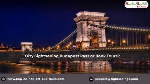 City Sightseeing Budapest Pass or Book Tours?