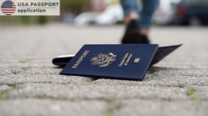 USA Passport Application: Counting the cost of a lost passport