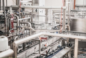 White Label Energy Drinks: How to Enter the Market Quickly