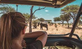 Walking Safaris for Beginners: Safe, Easy & Mind-Blowing Routes