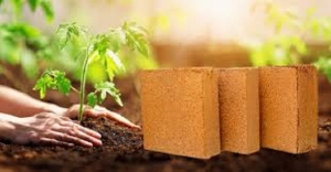 Cocopeat Brick Manufacturing Plant Machinery Cost 2025: Detailed Project Report, and Manufacturing Process