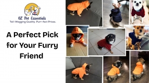 Best Dog Hoodies in Australia: A Perfect Pick for Your Furry Friend 
