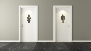 Top 5 Budget-Friendly Toilet Door Options for Singapore Homes