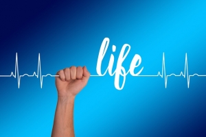 How to Find a Health Insurance Broker in the UK You Can Trust