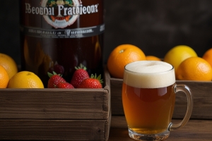 Fruit Beer Manufacturing Plant Report 2025: Industry Trends, Business Plan, Cost and Revenue