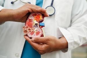 What Are the Signs of Kidney Problems in Men? Know the Symptoms & Ayurvedic Care