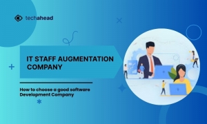 How IT Staff Augmentation Companies Drive Innovation in Software Development