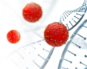 What Is Multiple Myeloma? Overview & Facts