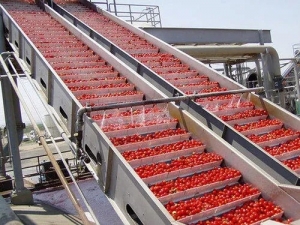 Tomato Ketchup Manufacturing Plant Setup Cost Report 2025: Comprehensive Business Plan and Manufacturing Process