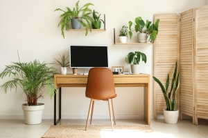 Cozy customized home office fit-out with a wooden desk, ergonomic chair, potted plants, and natural light creating a productive and inviting workspace.