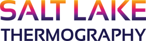 Electrical Survey Thermography in Salt Lake City: Prevent Equipment Failures and Downtime