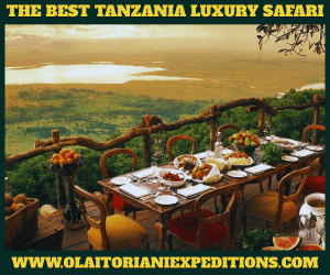 What to Expect When You Book a Tanzania Last Minute Safari