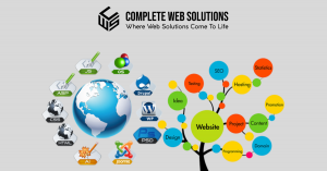 Why Your Business Needs a Professional Web Solutions Company