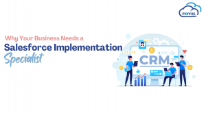 Why Your Business Needs a Salesforce Implementation Specialist?