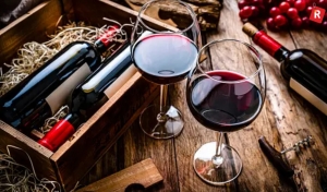 A Beginner’s Guide to Wine in India: What to Sip and Where to Start