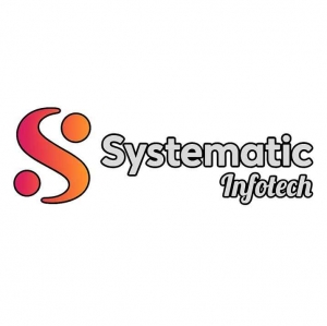 Systematic Infotech – Leading Social Media Marketing Company in Indore