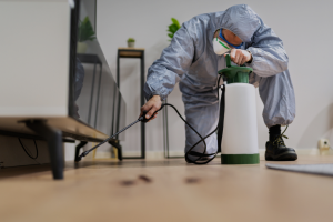 Pest Control in Barrie