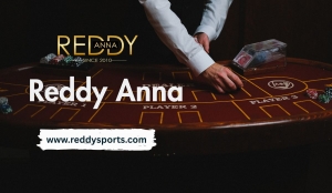 Inside the World of Reddy Anna: What You Should Know