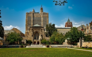 Yale MBA: Curriculum, Cost, Jobs & What Makes It Different