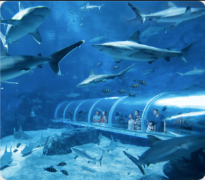 We Redefine Architectural Transparency with Acrylic Glass Windows and Acrylic Window Panels