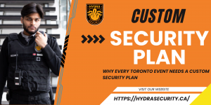 Custom security services 