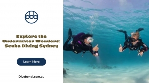 Explore the Underwater Wonders: Scuba Diving Sydney