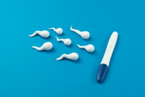 Exploring the Future of Fertility: Growth and Innovation in the Artificial Insemination Market